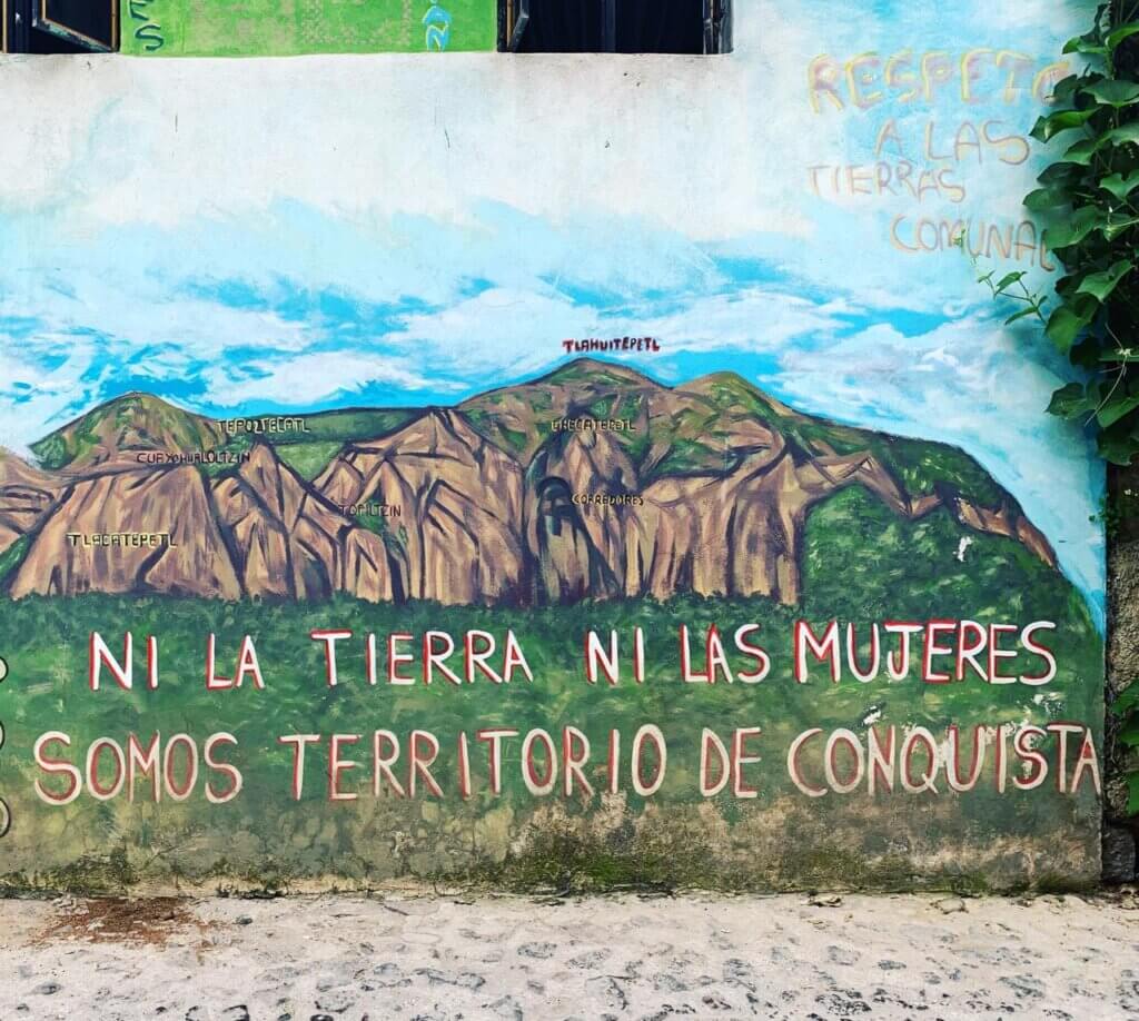 Ecofeminismo, pensamiento decolonial y resistencia. Entrevista con Yayo Herrero