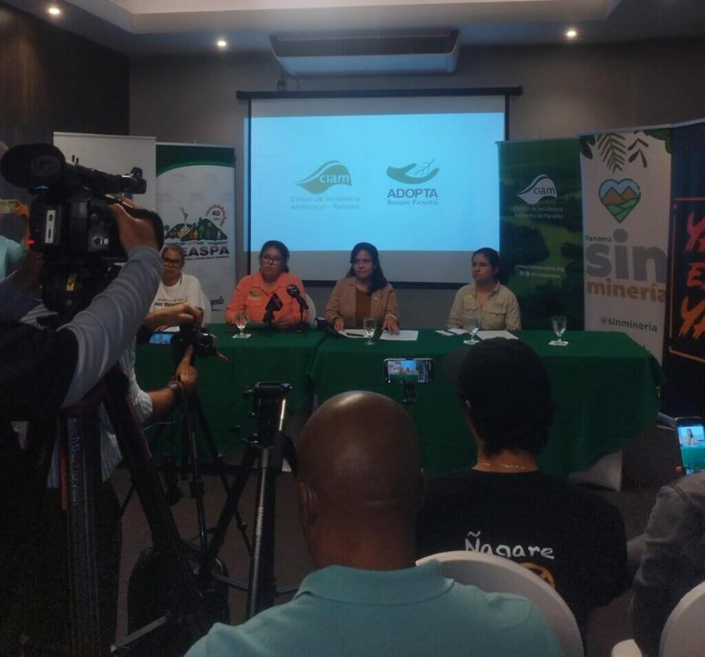 Defender los manglares tiene costo: ambientalistas de Panamá denuncian ataques y represalias