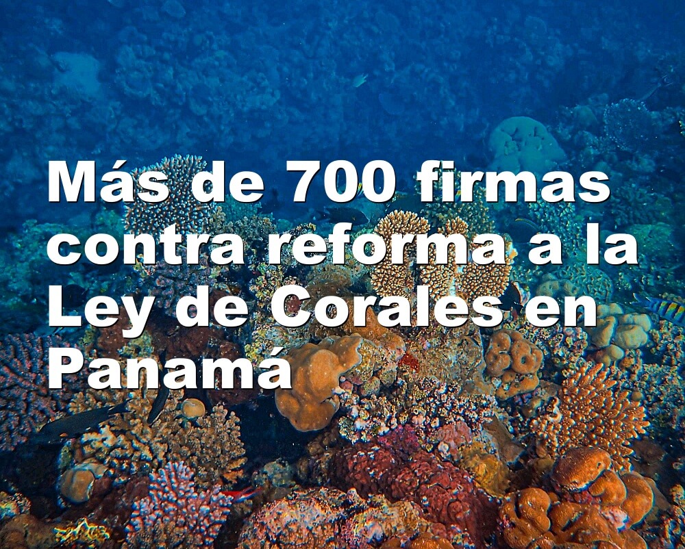 Más de 700 firmas contra reforma a la Ley de Corales en Panamá