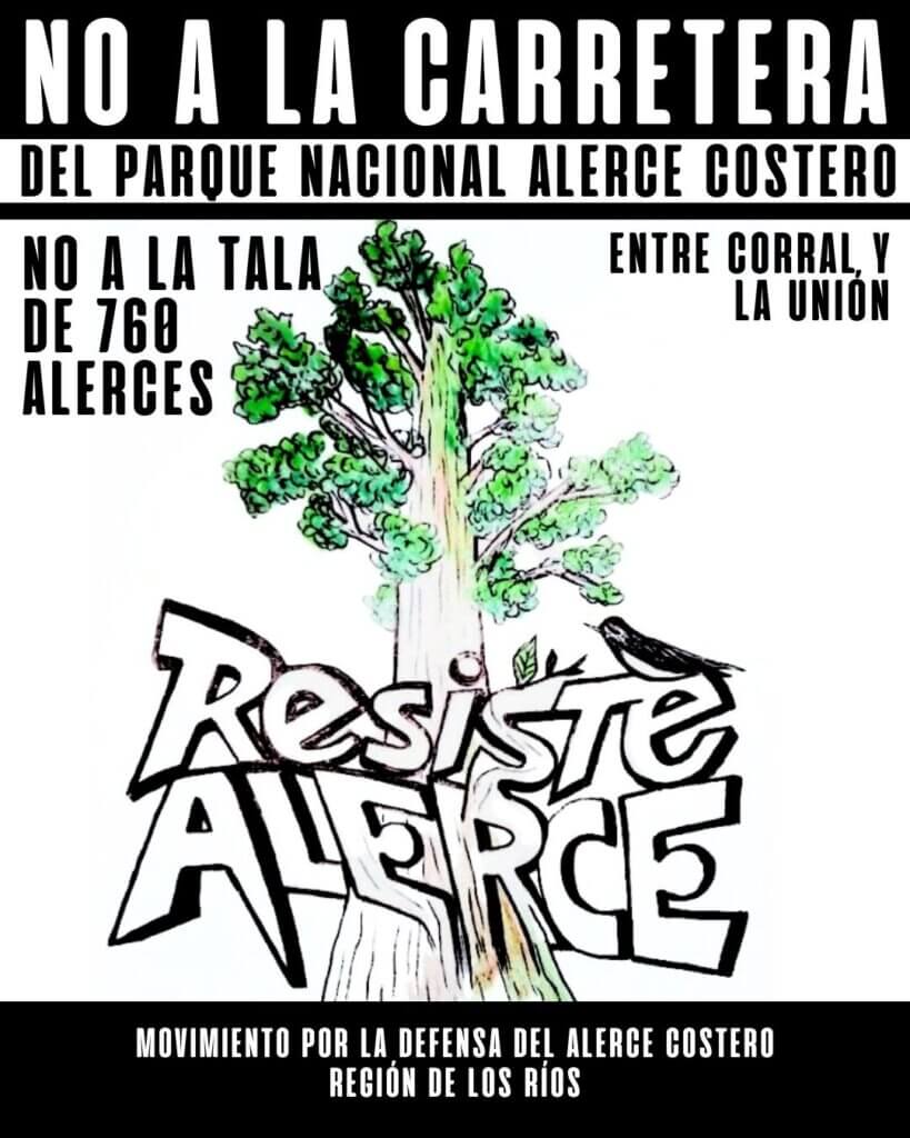 Defendamos el Alerce Costero YA!